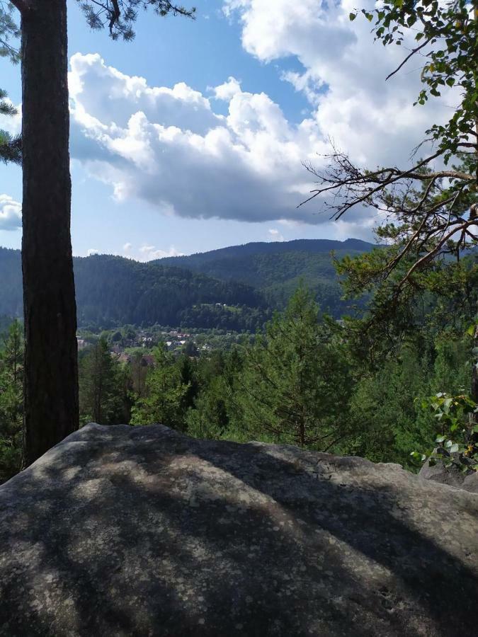 Смериковий Yaremche Exterior foto